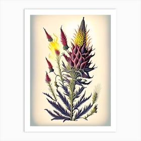 Blazing Star Wildflower Vintage Botanical 1 Art Print