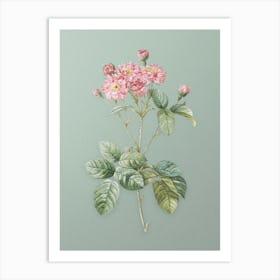 Vintage Pink Rosebush Botanical Art on Mint Green n.0557 Art Print