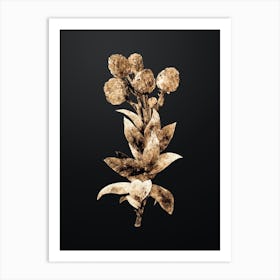 Gold Botanical Cudweeds on Wrought Iron Black Art Print