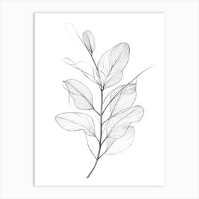 Eucalyptus Leaf Art Print