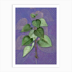 Vintage Quaking Aspen Botanical Illustration on Veri Peri Art Print