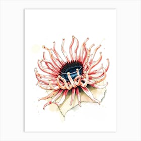 Pink Sea Anemone Art Print