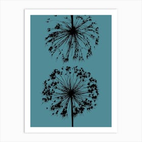 Teal black allium 1 Art Print