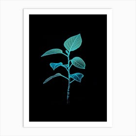 Plant - Plant Stock Videos & Royalty-Free Footage Art Print