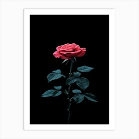 Black Rose 10 Art Print