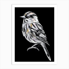 Bird On A Black Background Art Print