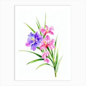 Gladioli 3 Watercolour Flower Art Print