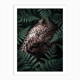 Leopard In Ferns Art Print