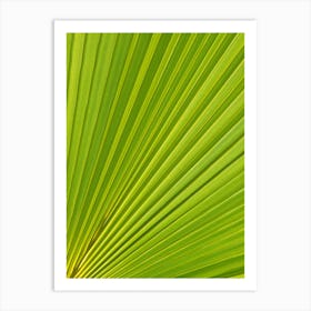 Lush Green Palm Leaf Macro Art Print