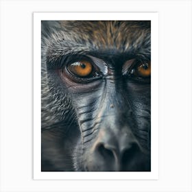 Baboon Eyes Art Print