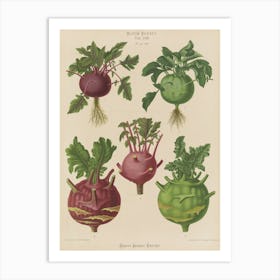 Beets 4 Art Print