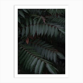 Dark Leaves In The Forest Vertical Art Print