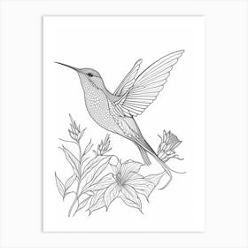 Allen S Hummingbird William Morris Line Drawing 2 Art Print