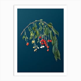 Vintage Visciola Cherries Botanical Art on Teal Blue n.0879 Art Print