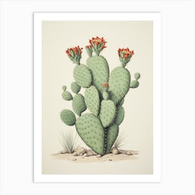 Vintage Cactus Illustration Nopal Cactus Art Print