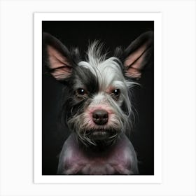 Yorkshire Terrier new Art Print