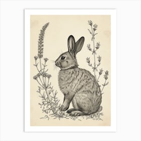 Beveren Blockprint Rabbit Illustration 6 Art Print