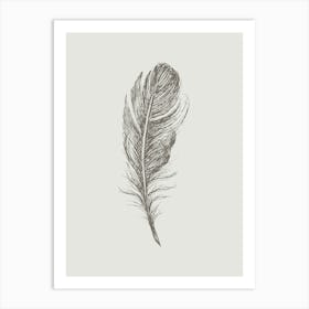 Grey Feather Print 5 Art Print