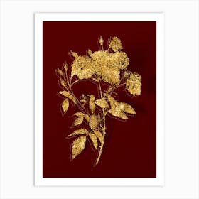 Vintage Ternaux Rose Bloom Botanical in Gold on Red n.0309 Art Print