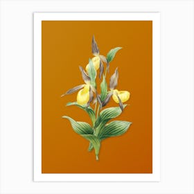 Vintage Sabot des Alpes Botanical on Sunset Orange n.0029 Art Print