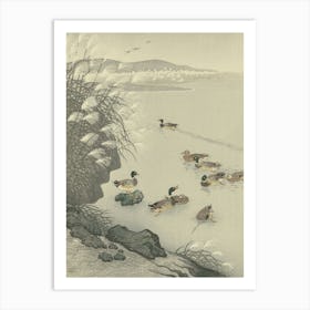 Japanese Ukiyo-E Ducks In The Pond Art Print