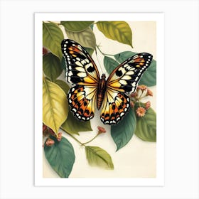 Butterfly On A Leaf Art Print