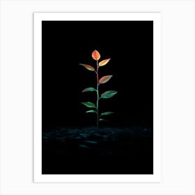 Tree In The Dark 12 Art Print