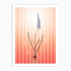 Ixia Cepacea Vintage Botanical in Peach Fuzz Awning Stripes Pattern n.0201 Art Print