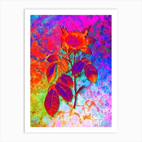 Red Gallic Rose Botanical in Acid Neon Pink Green and Blue n.0057 Art Print