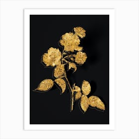 Vintage Red Cabbage Rose in Bloom Botanical in Gold on Black n.0572 Art Print