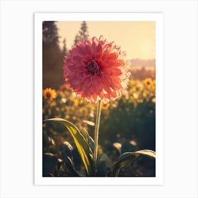 Dahlia Flower Art Print