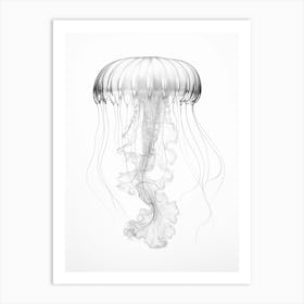 Box Jellyfish Drawing 7 Art Print