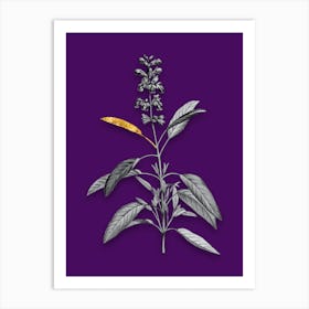 Vintage Sage Plant Black and White Gold Leaf Floral Art on Deep Violet n.0155 Art Print