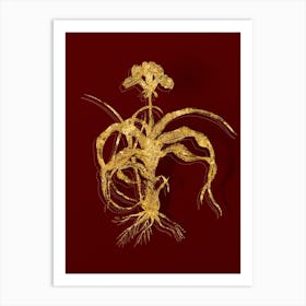 Vintage Iris Scorpiodes Botanical in Gold on Red n.0075 Art Print