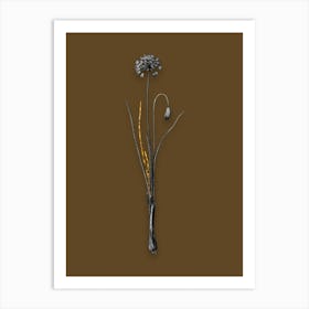 Vintage Autumn Onion Black and White Gold Leaf Floral Art on Coffee Brown n.0004 Art Print