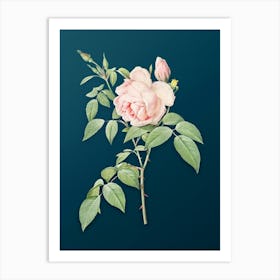 Vintage Fragrant Rosebush Botanical Art on Teal Blue n.0616 Art Print