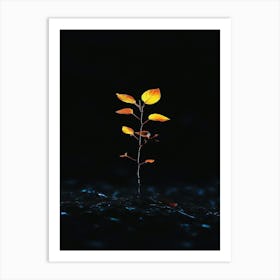 Tree Growing In The Water Art Print