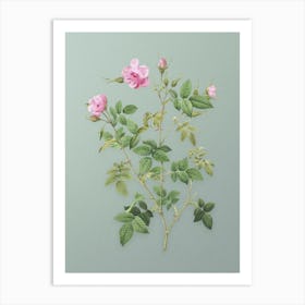 Vintage Pink Flowering Rosebush Botanical Art on Mint Green n.0255 Art Print