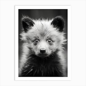 Black And White Photograph Of A Bear Cub Art Print