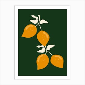 Three Oranges On A Branch Art Print