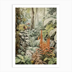 Vintage Jungle Botanical Illustration Ginger 2 Art Print