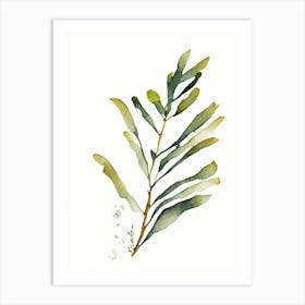 Bladderwrack Leaf Minimalist Watercolour 3 Art Print