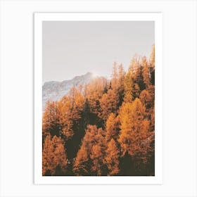 Orange Mountain Trees Art Print