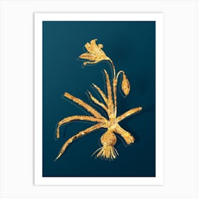 Vintage Amaryllis Broussonetii Botanical in Gold on Teal Blue n.0277 Art Print