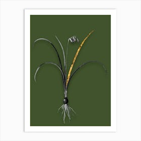 Vintage Brimeura Black and White Gold Leaf Floral Art on Olive Green n.0800 Art Print