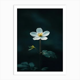 White Flower 3 Art Print