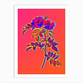 Neon Shining Rosa Lucida Botanical in Hot Pink and Electric Blue Art Print