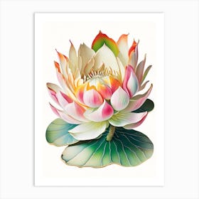 Amur Lotus Decoupage 4 Art Print