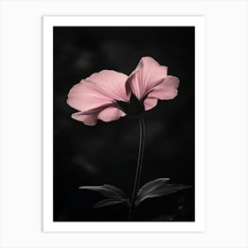 Black And White Flower 1 Art Print