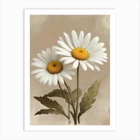 Denmark National Flower The Marguerite Daisy Art Print